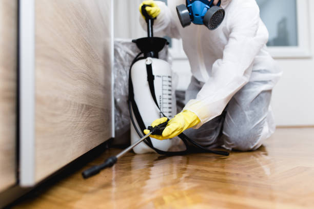 Best Pest Prevention Services  in Fairview, OK