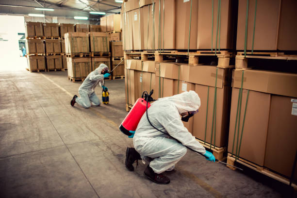 Best Mosquito Control Services  in Fairview, OK