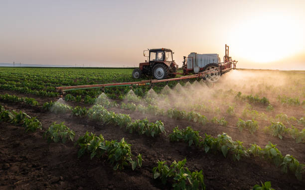 Best Pest Removal Services  in Fairview, OK
