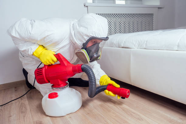 Best Flea Control Services  in Fairview, OK