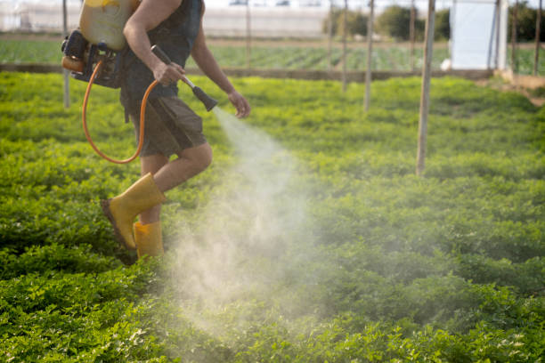 Best Affordable Pest Control Services  in Fairview, OK