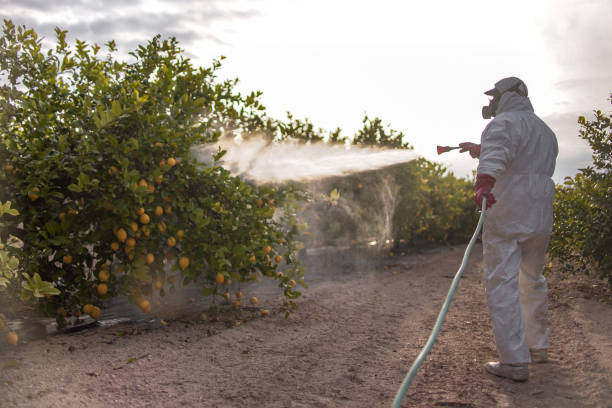 Best Best Pest Control Companies  in Fairview, OK
