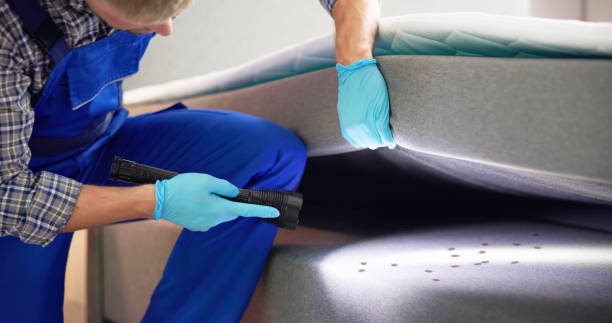 Pest Control Cost in Fairview, OK