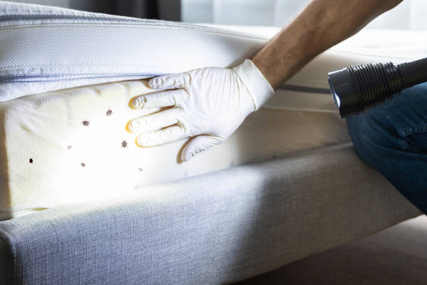 Best Bed Bug Extermination  in Fairview, OK