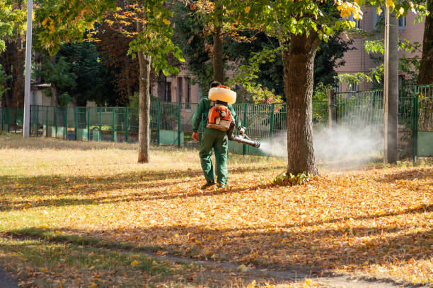 Best Commercial Pest Control Services  in Fairview, OK