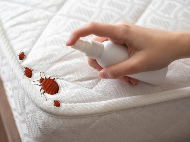 Best Affordable Pest Control Services  in Fairview, OK