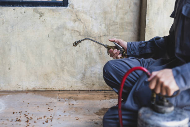 Pest Control for Restaurants in Fairview, OK