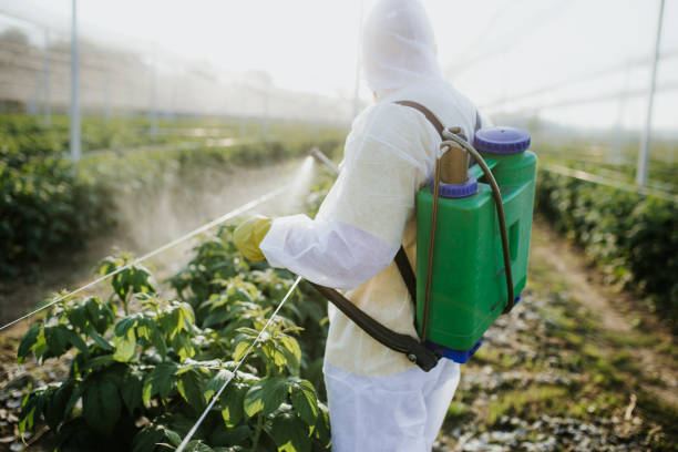 Reliable Fairview, OK Pest Control Solutions